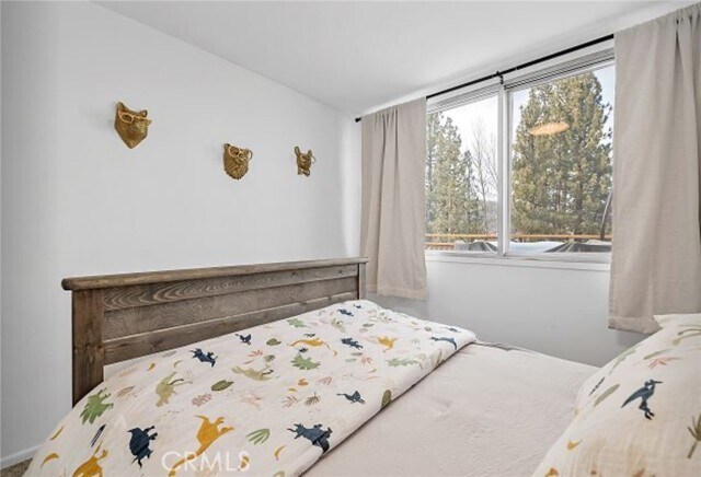 Building Photo - 805 Cove Dr