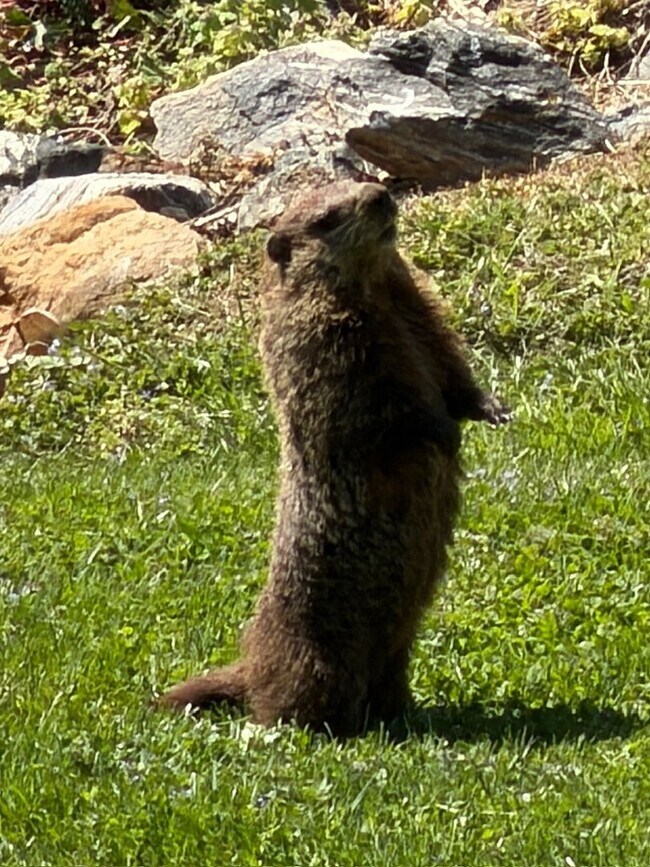 Building Photo - North - Crossing the Finish Line!