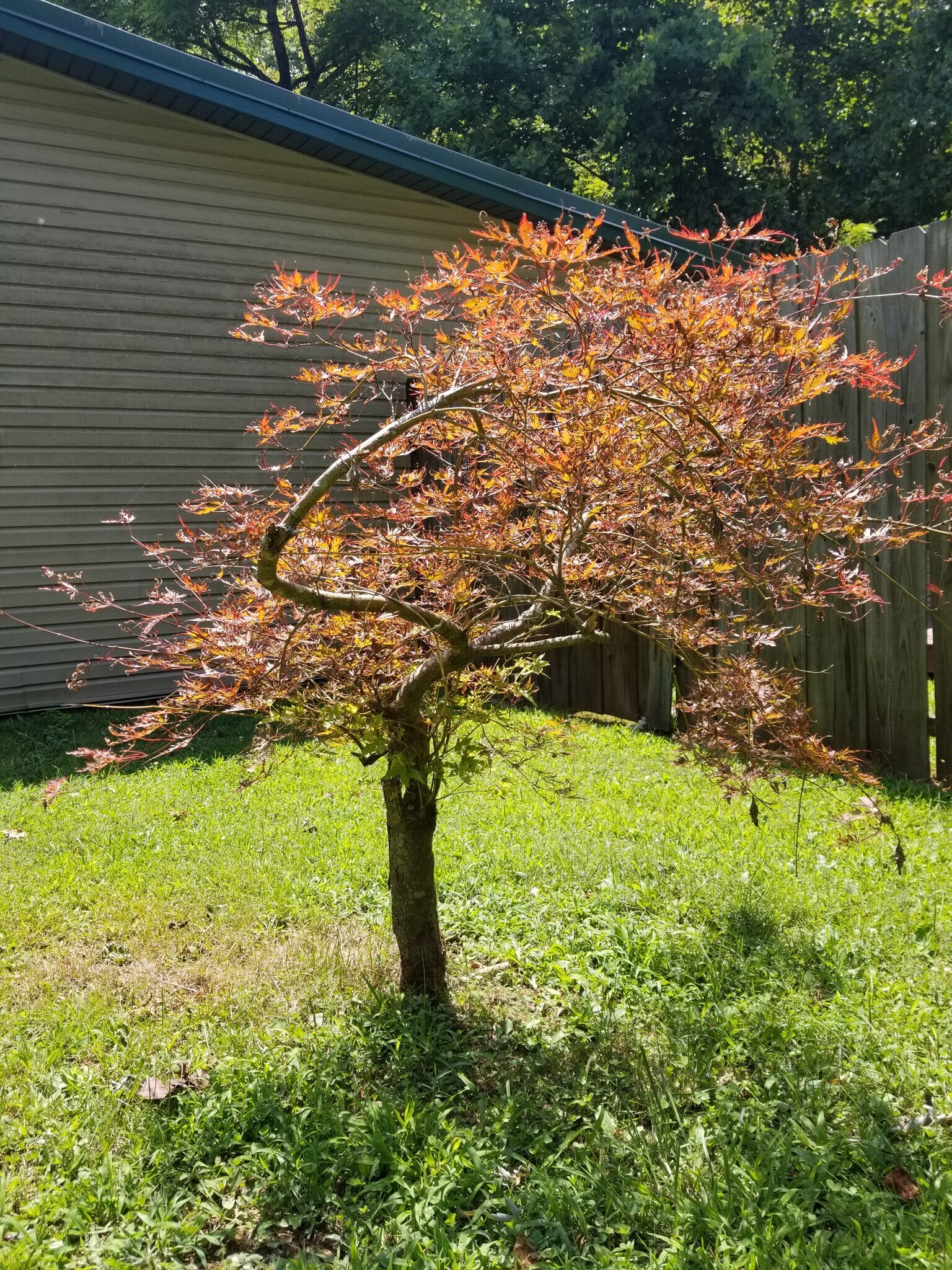 Building Photo - 173 Lacy Hollow Rd