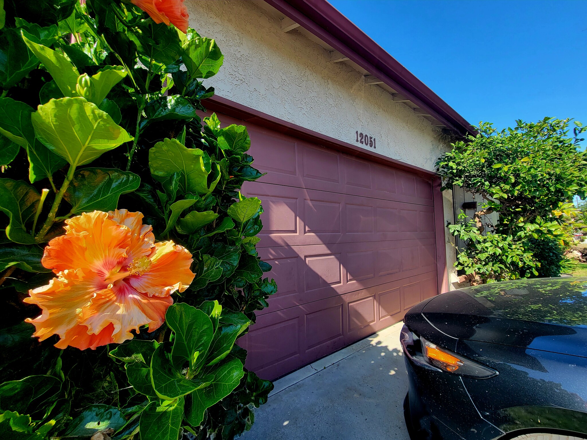 GARAGE ENTRY looking easterly - 12051 Alberta Dr