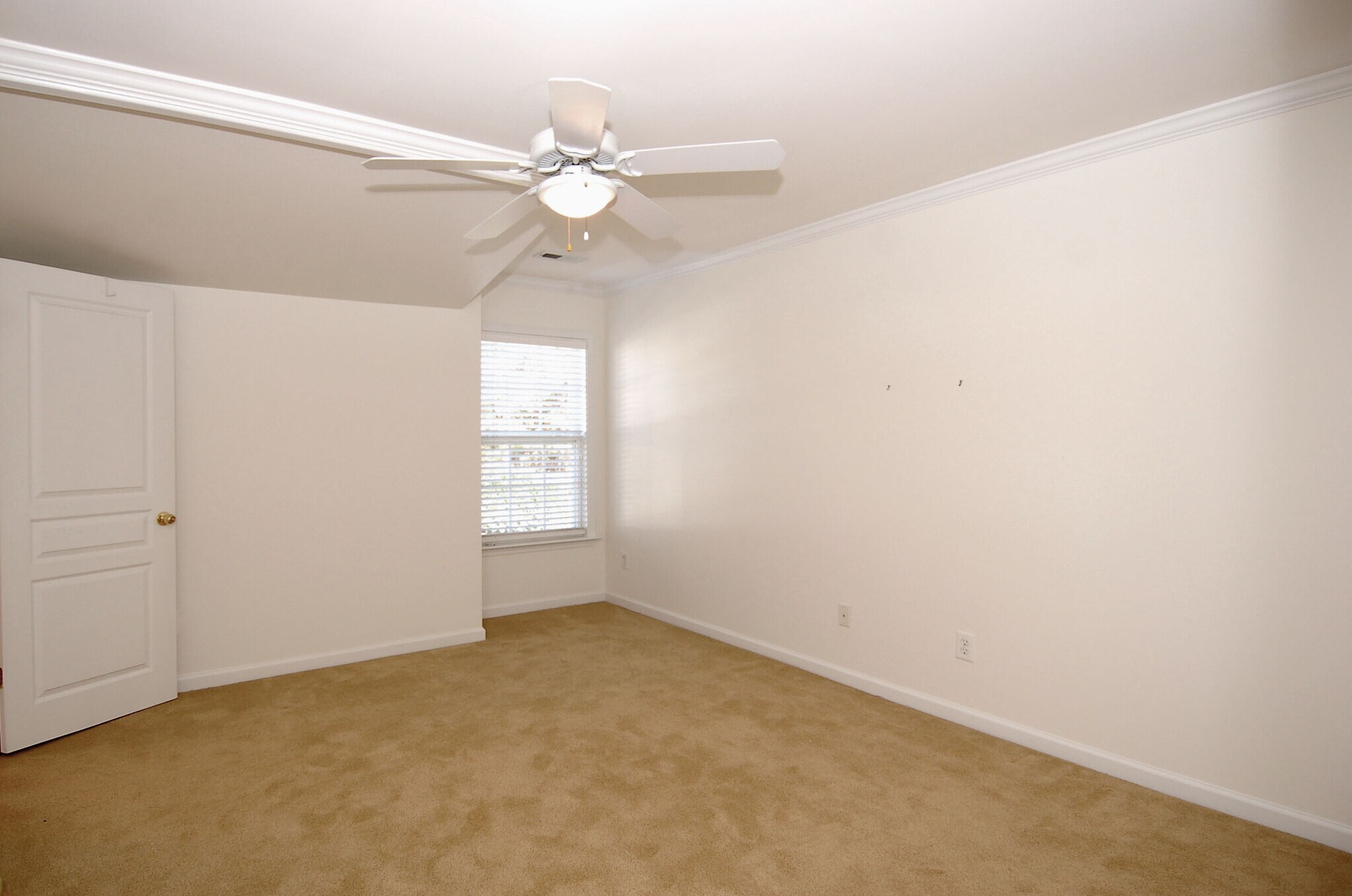 Building Photo - 3611 Lion Ridge Ct