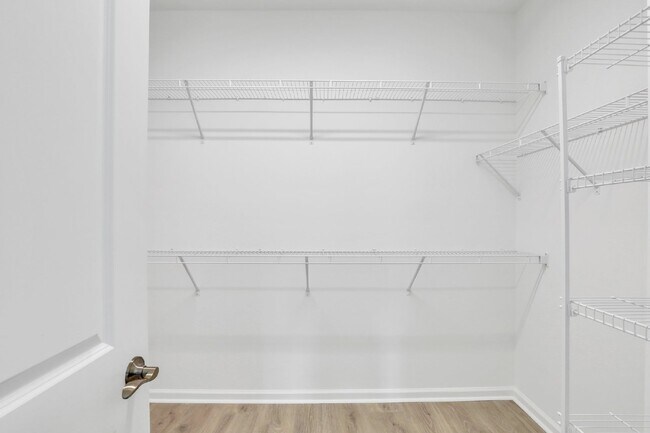 Building Photo - 165 Salty Fin Dr