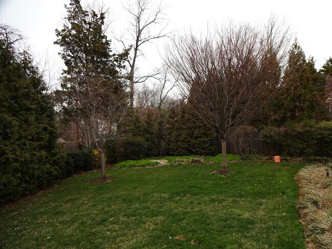 Building Photo - Wonderful Home in Prime Location!