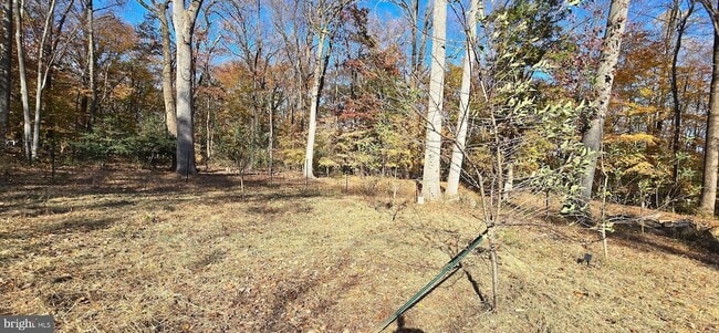 Building Photo - 7613 Locust Ln