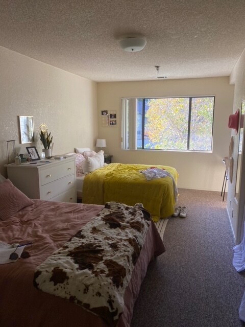 Building Photo - 45 Stenner St