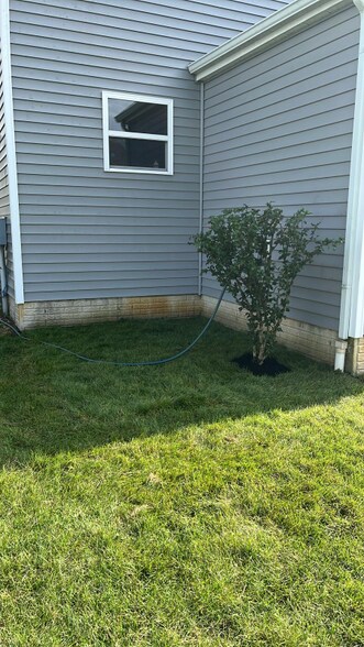 Building Photo - 270 McElhinny Ln