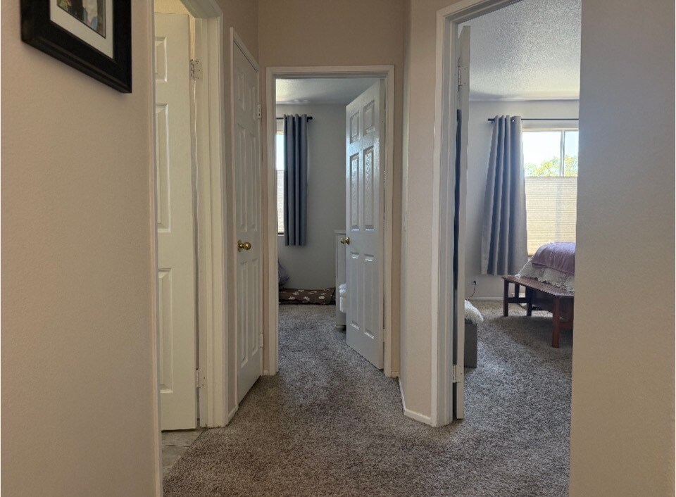Building Photo - 4018 Brindisi Pl