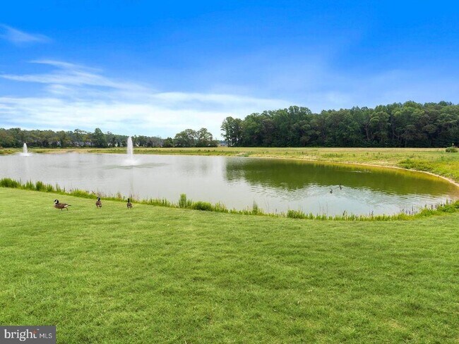 Building Photo - 33789 Freeport Dr