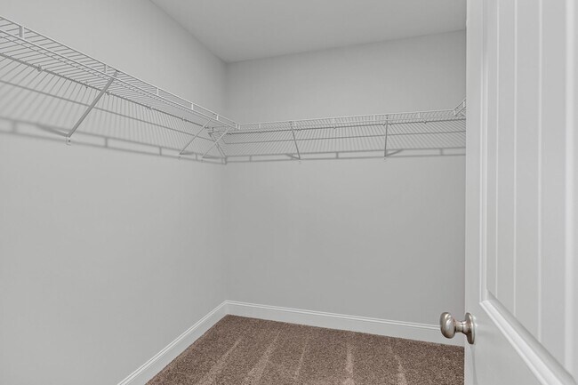 Building Photo - 164 Guana Ln