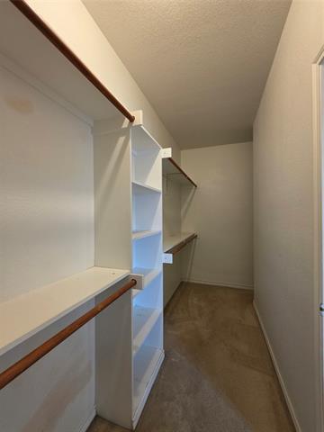 Building Photo - 1701 Balboa Ln