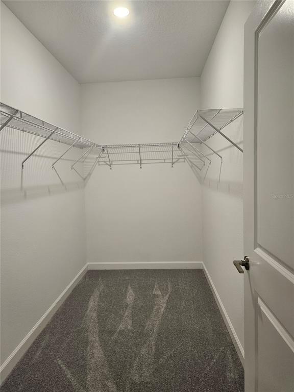 Building Photo - 10965 Teal Lagoon Isle