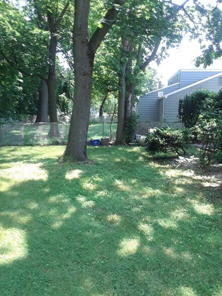Backyard - 103 Prospect Ave