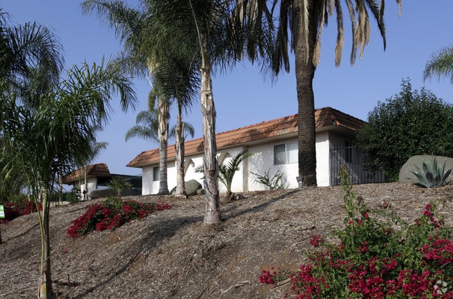 Primary Photo - Las Palmas