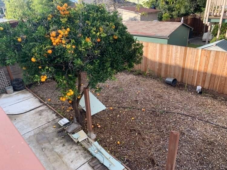 Building Photo - 1220 59th St