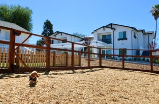 Building Photo - Emerald Court Apartments