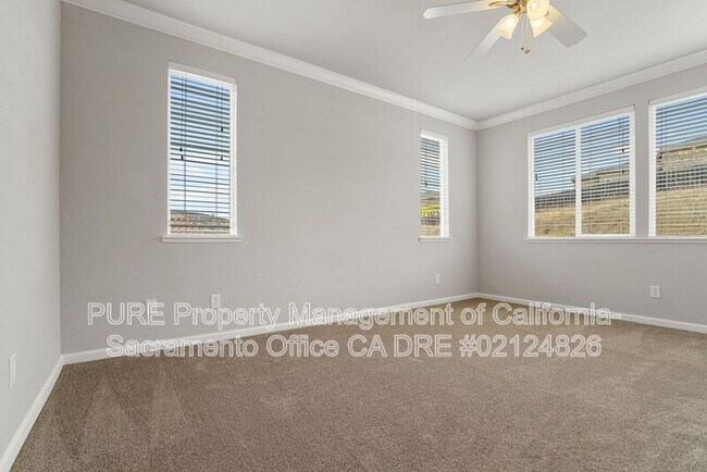 Building Photo - 4909 Concordia Dr