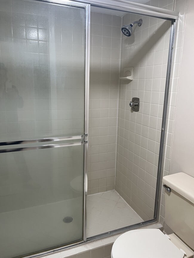 Master Shower - 1850 Homewood Blvd