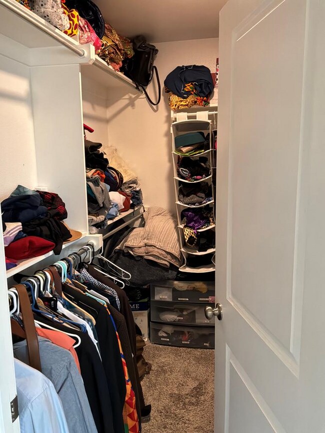 Building Photo - 1303 Terra Cotta St