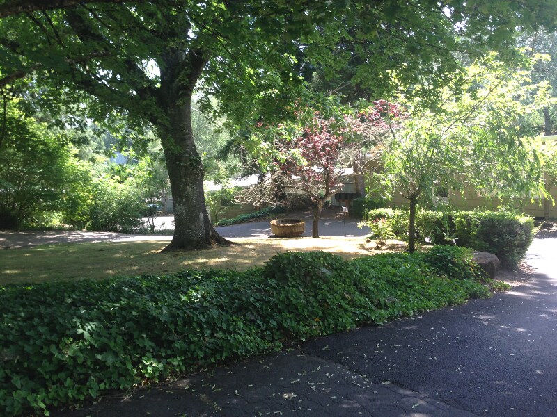 Building Photo - 106-209 Harvard Ct SE