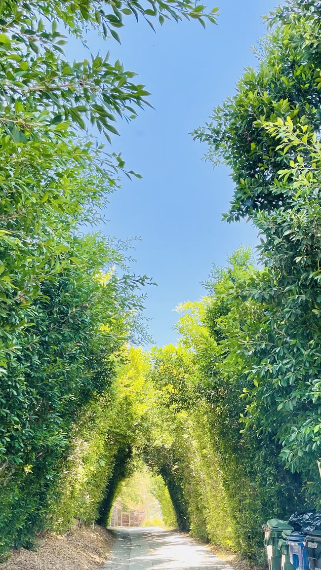 Driveway - 15635 Vandorf Pl