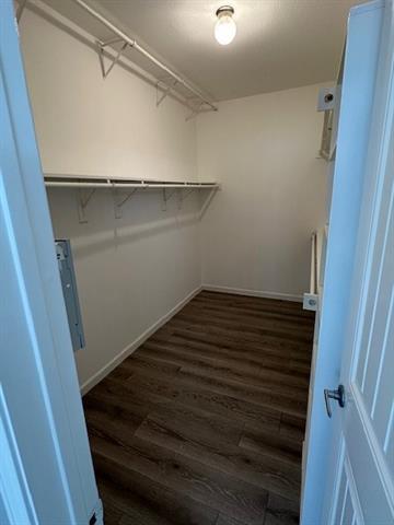 Building Photo - 8404 Laughing Waters Tr