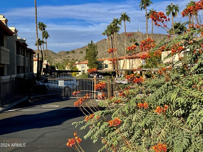 Building Photo - 10410 N Cave Creek Rd