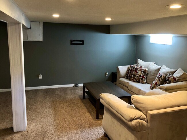 Finished basement living area - 4048 Snelling Ave