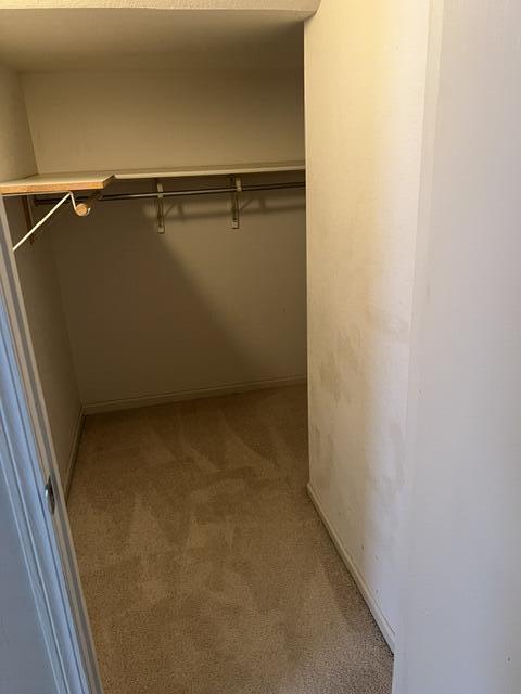 Building Photo - 3413 Zinnia Dr