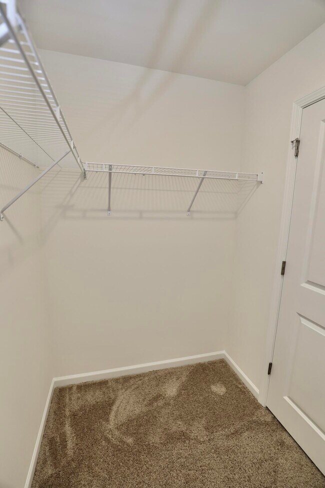 Building Photo - 1718 Canopy Dr
