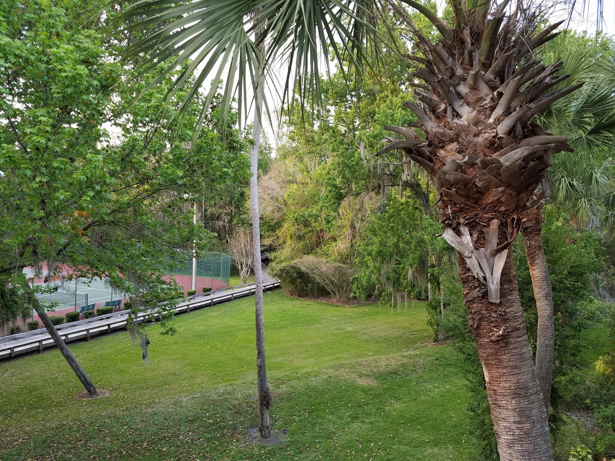 View from balcony - 2174 Woodbridge Rd