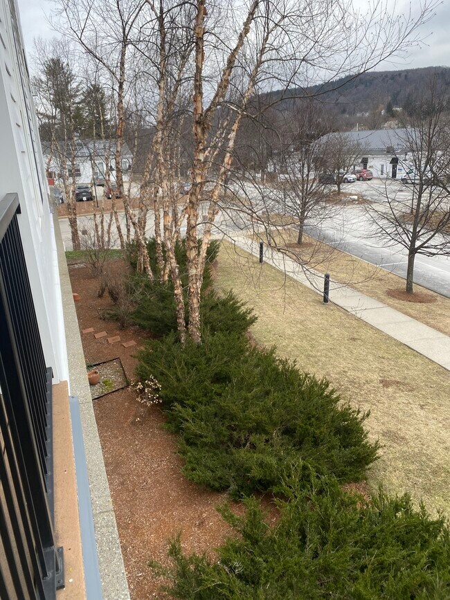 70 Maple St 70 Maple St Middlebury VT 05753 Apartment Finder