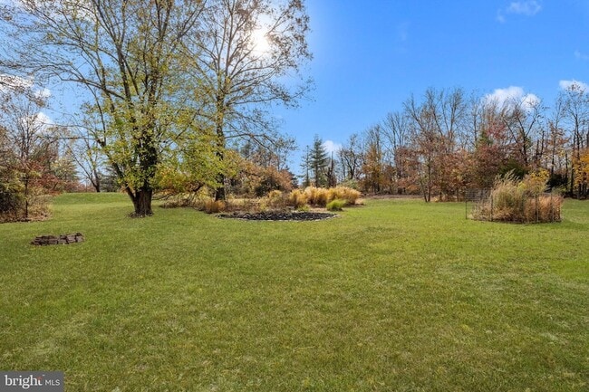 Building Photo - 271 Stoopville Rd