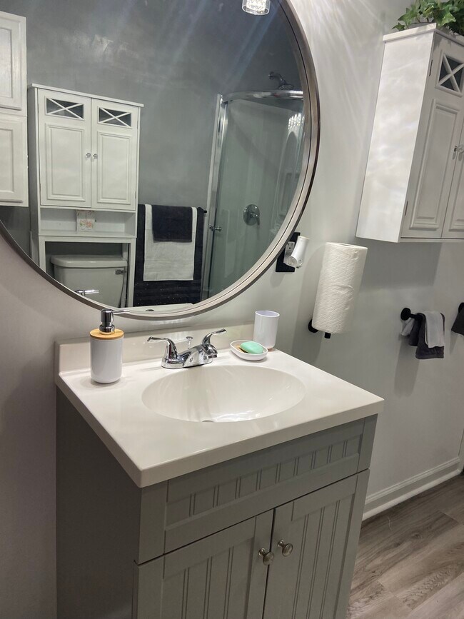 Bathroom sink - 7853 Mohansic Park Ln