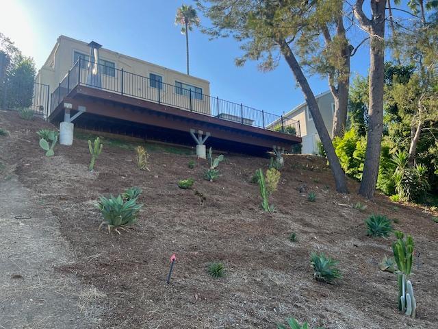 Water-friendly, native flora in back yard - 2812 Anchor Ave