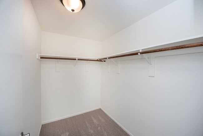 Building Photo - Now Available for Lease Beautiful 4 Bedroom Home with Basement