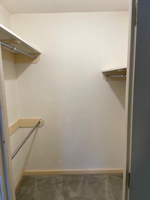 Building Photo - 301 Cromer Dr