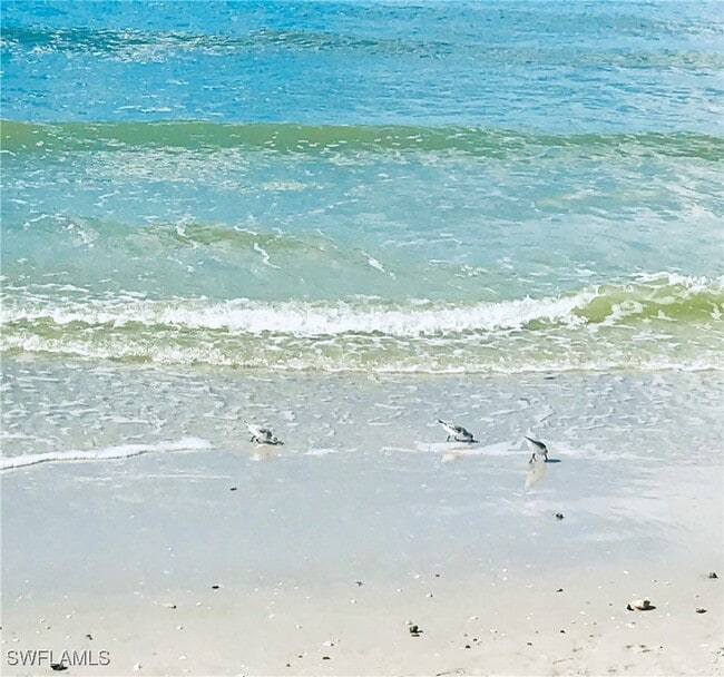 Building Photo - 4410 Chantelle Dr