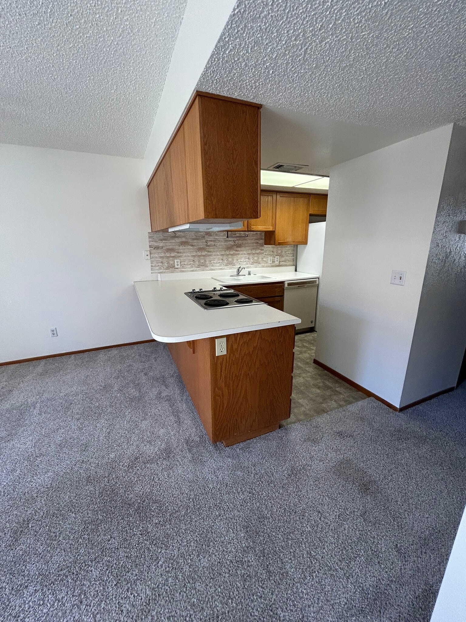 Kitchen - 1957 Mesquite Ave