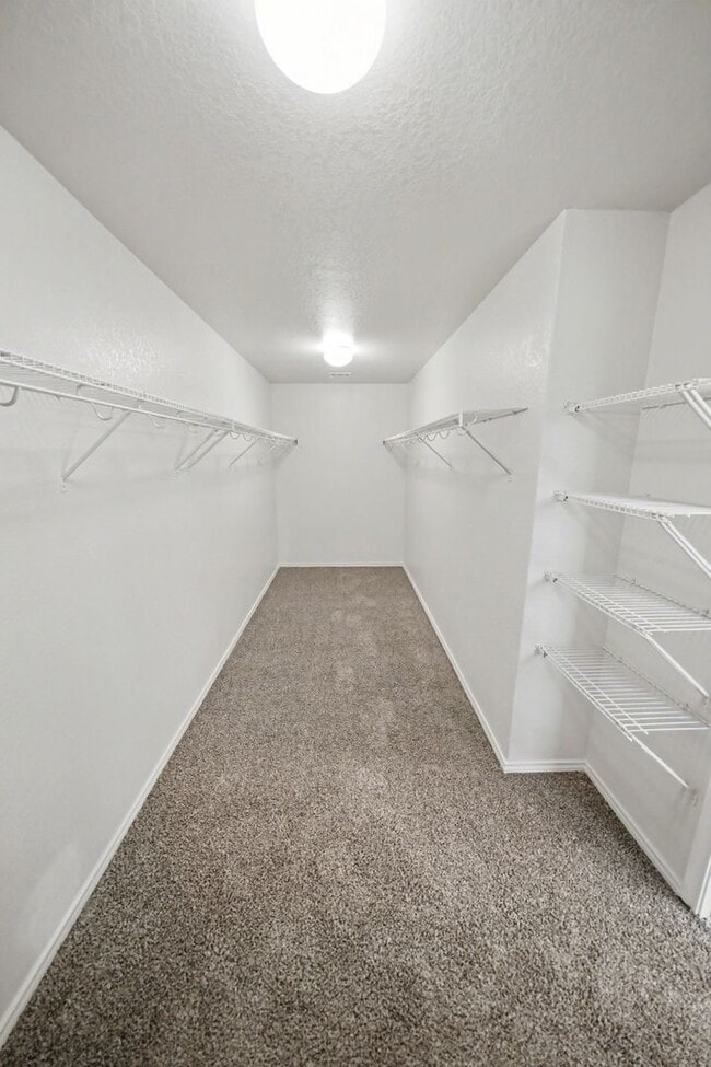 Building Photo - Spacious Cul-de-Sac Home in Bulverde Village - Realtor Commission: $500