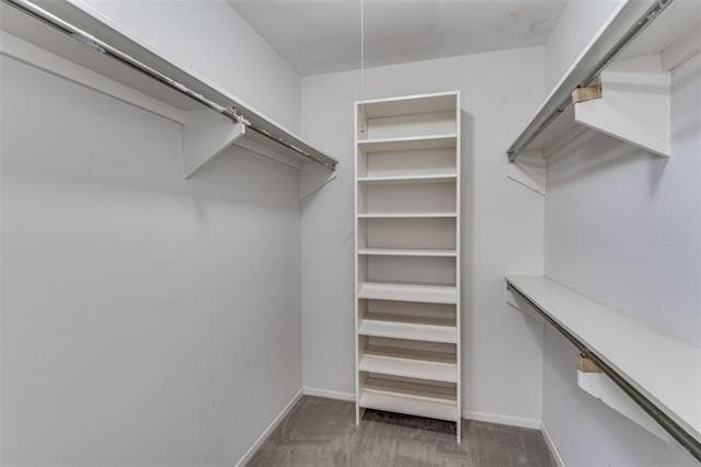 Building Photo - 3112 Pin Oak Ct