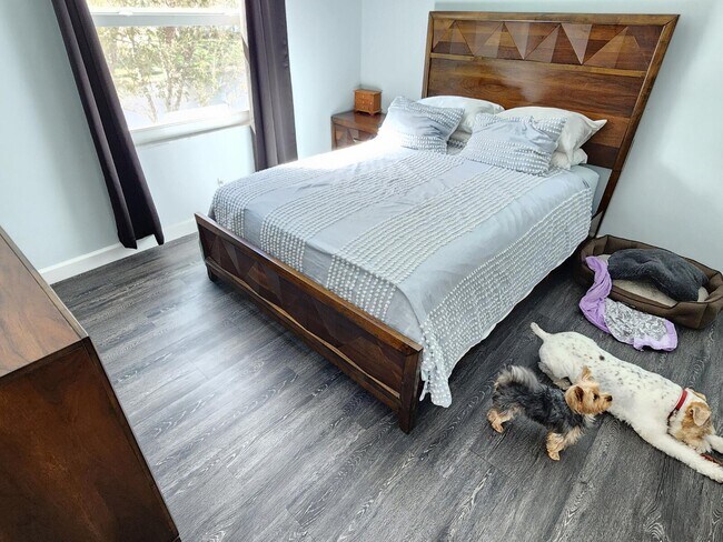 Building Photo - 250 Timberwalk Trail