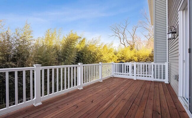 Rear patio - 3004 Ewell Ln