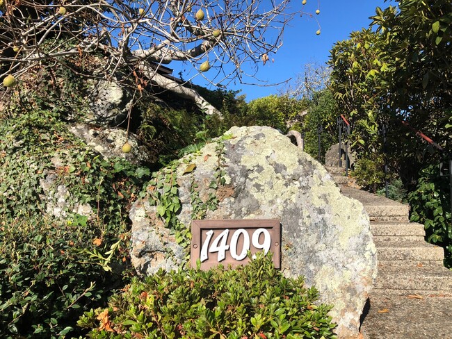 Building Photo - Lovely 3/2 home in the hills of El Cerrito with breathtaking views of the bay!