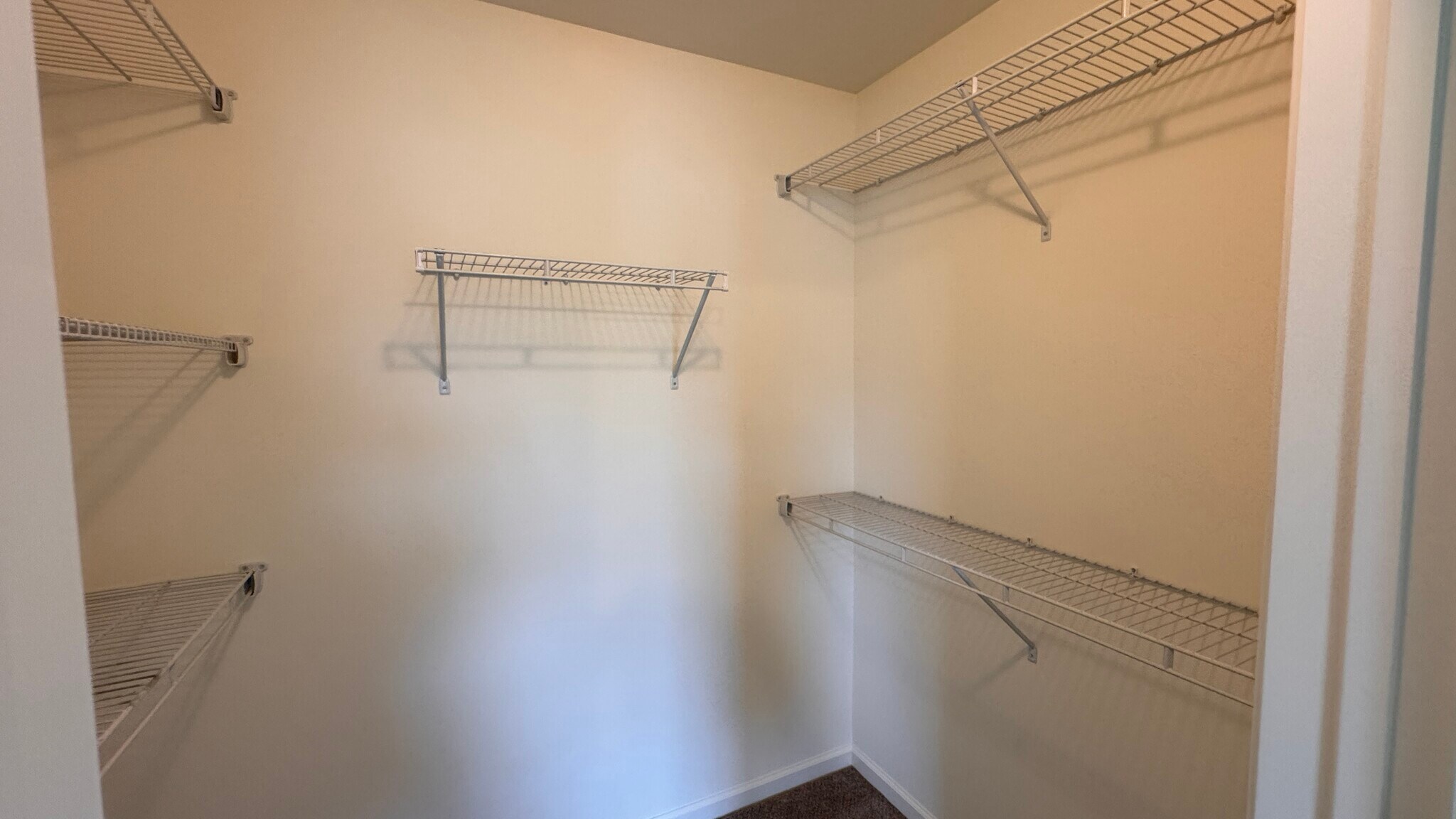 Building Photo - 250 Limestone Dr