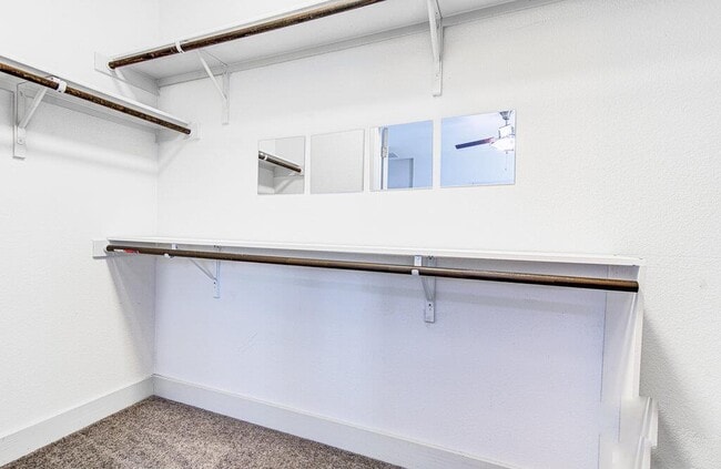 Building Photo - 2117 Maxwell Ln