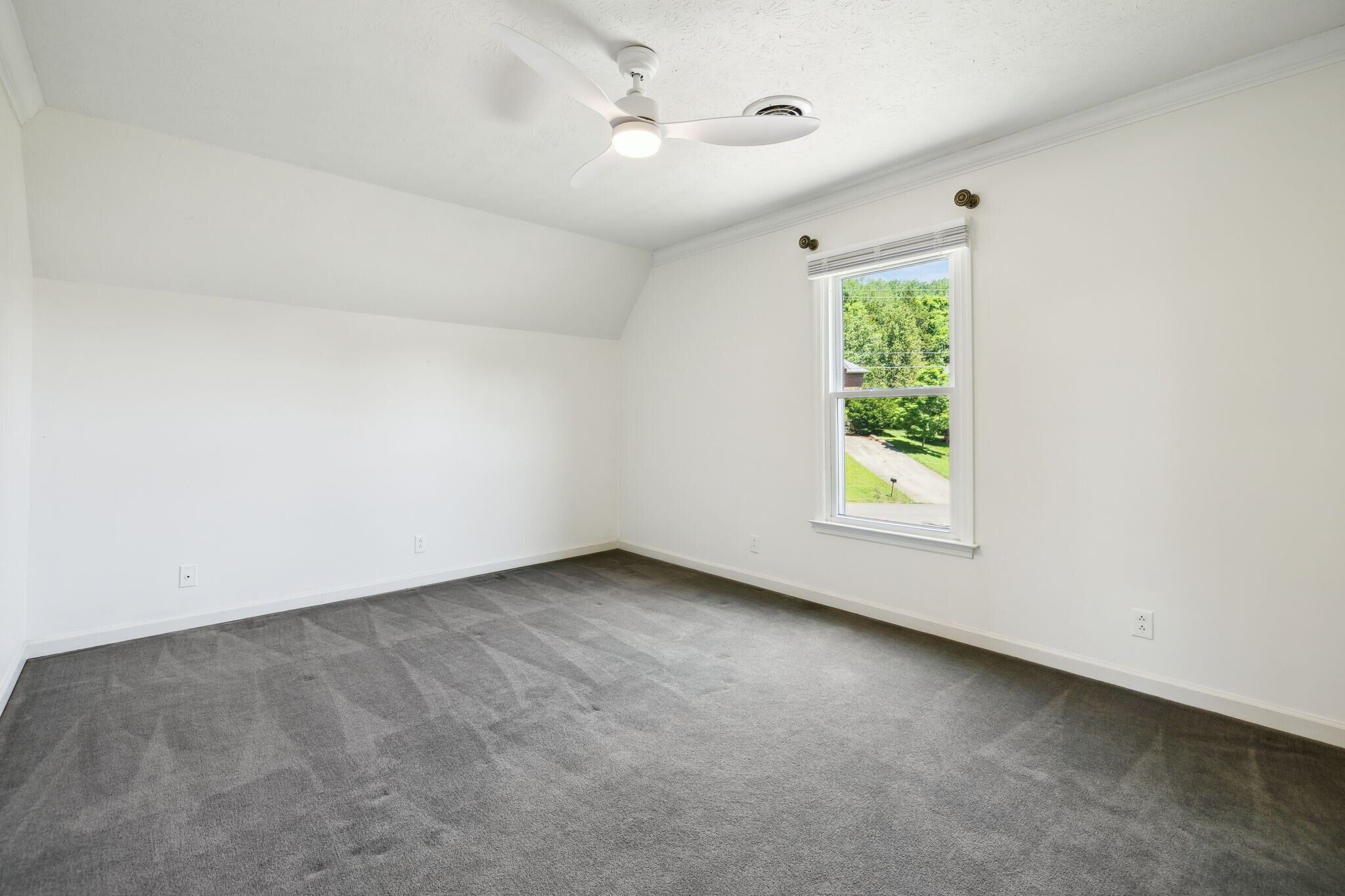 Building Photo - 316 McCoin Dr