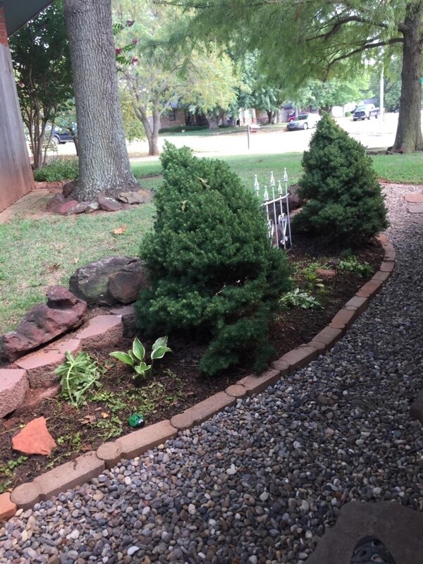 Building Photo - 1627 Briarcliff Ct