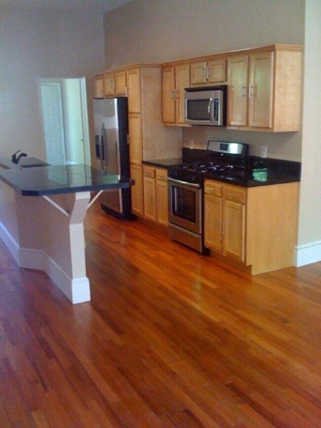 Building Photo - Large Renovation in South Side Flats! A/C,...