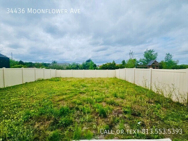 Building Photo - 34436 Moonflower Ave