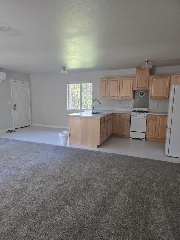 Building Photo - 3806 Jumpoff Joe Creek Rd